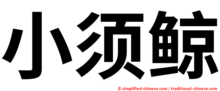 小须鲸