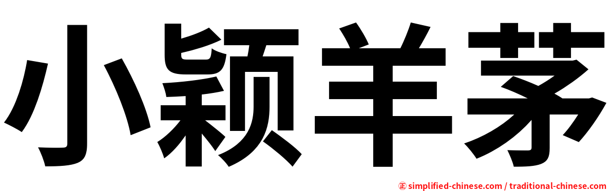 小颖羊茅
