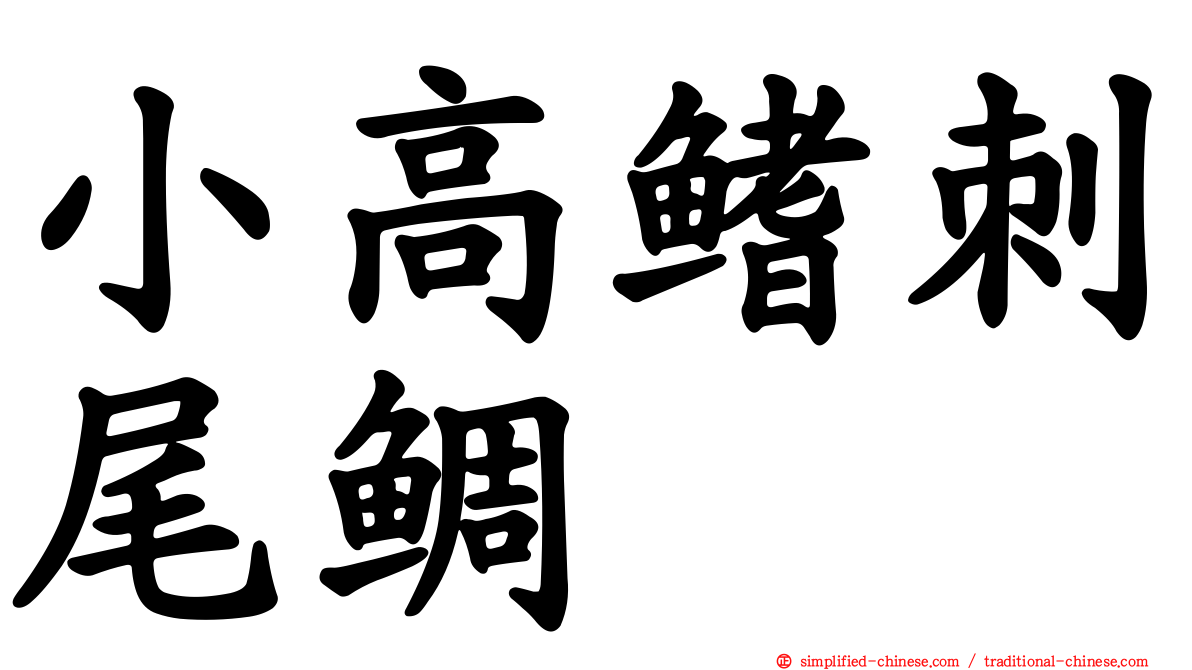 小高鳍刺尾鲷