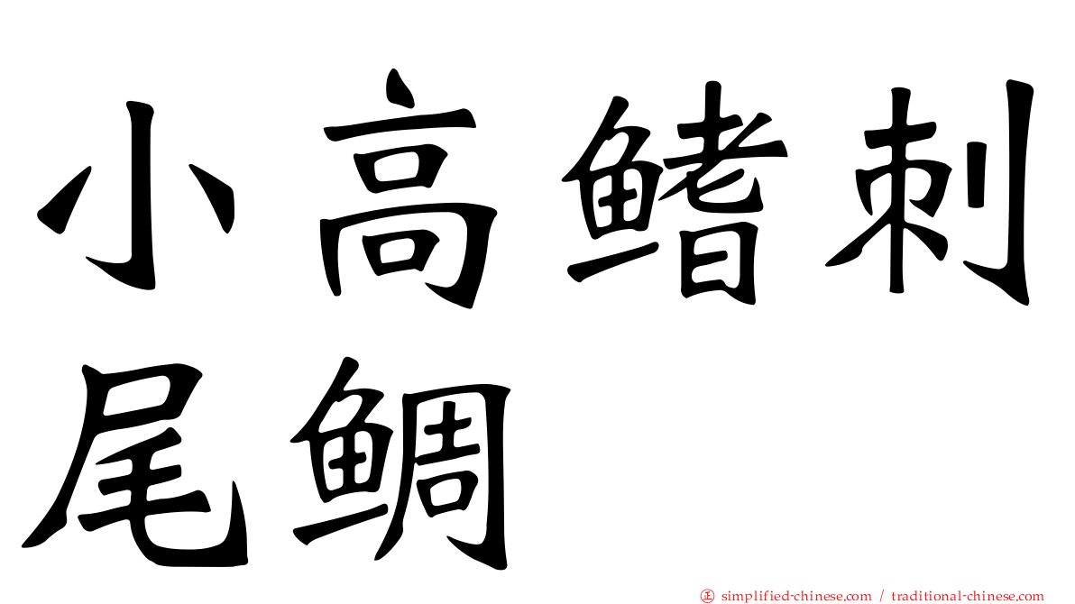小高鳍刺尾鲷