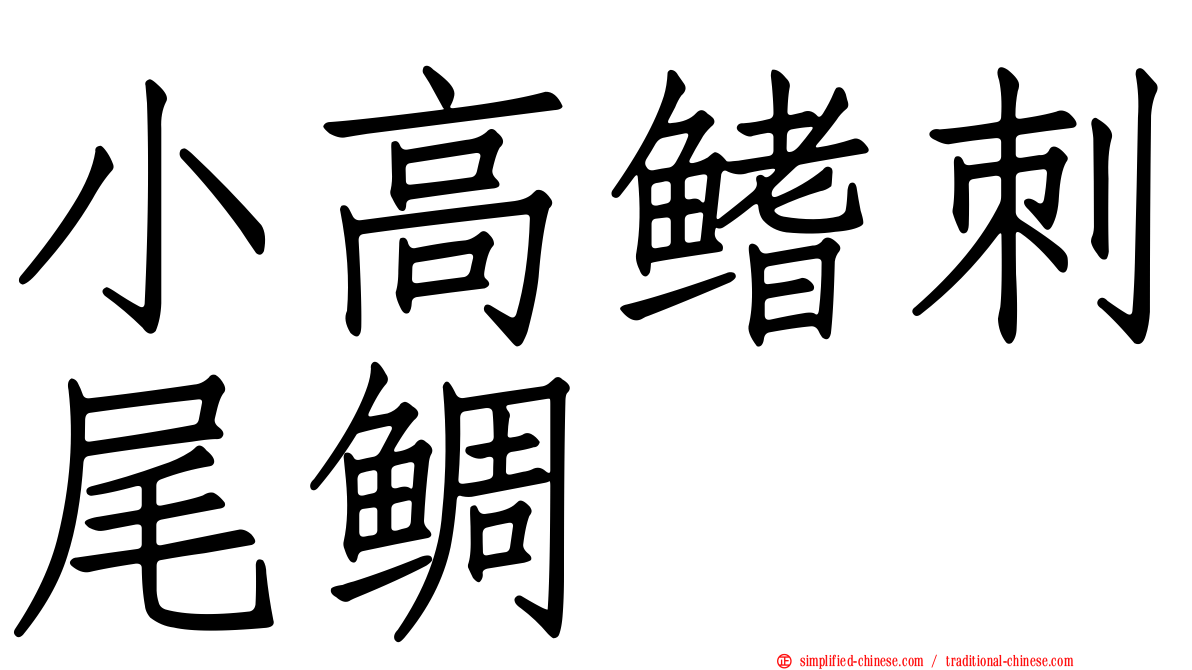 小高鳍刺尾鲷