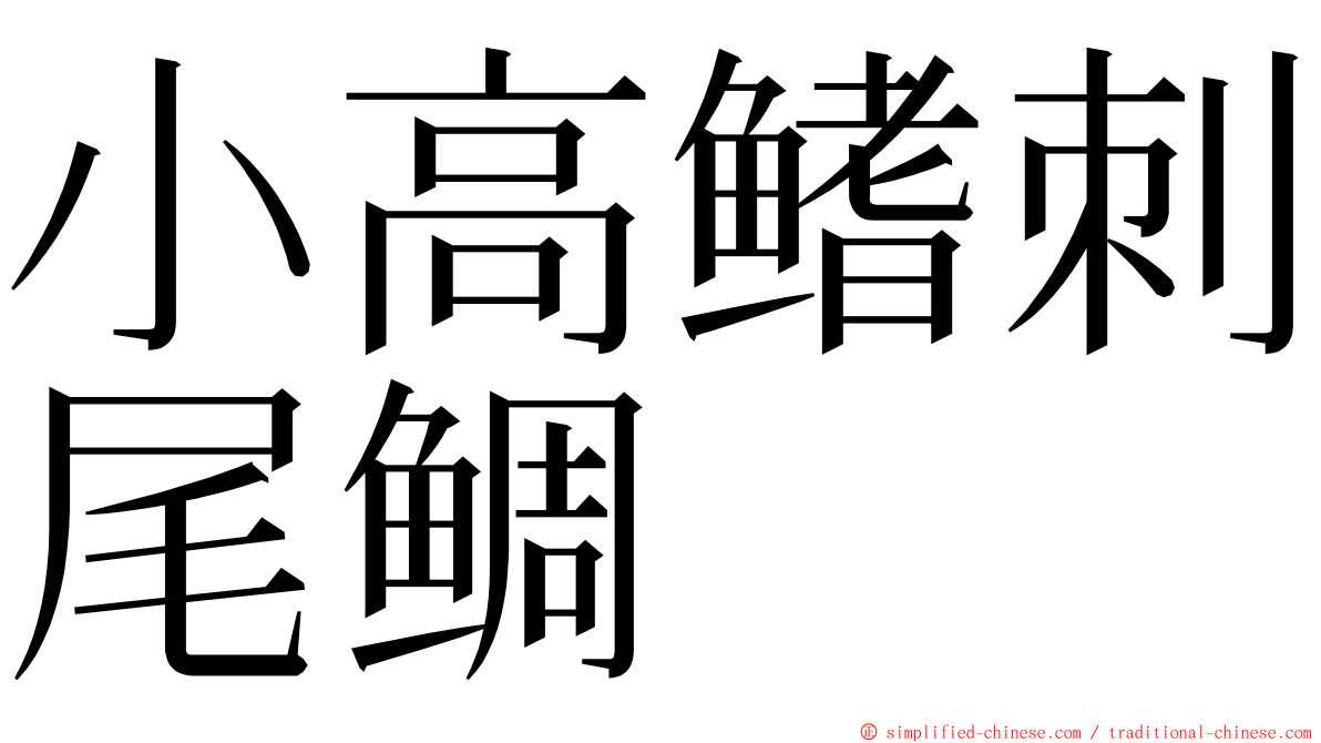 小高鳍刺尾鲷 ming font