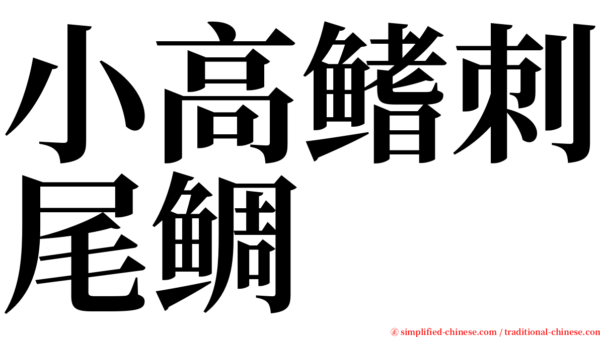 小高鳍刺尾鲷 serif font