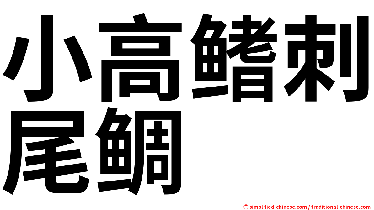 小高鳍刺尾鲷