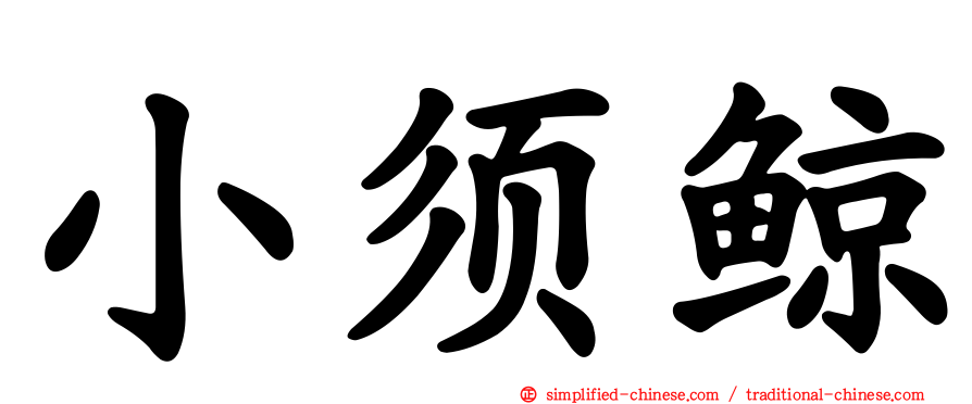 小须鲸