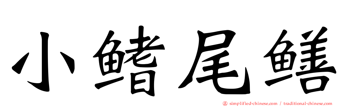 小鳍尾鳝