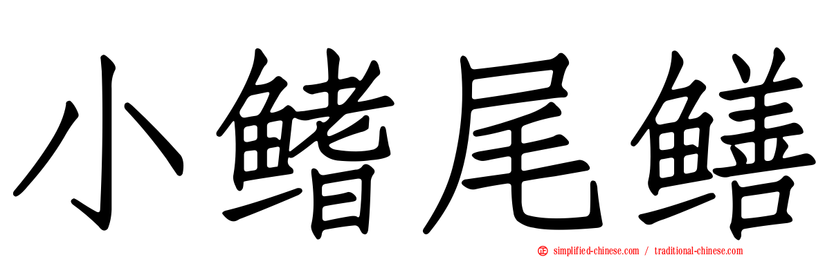 小鳍尾鳝