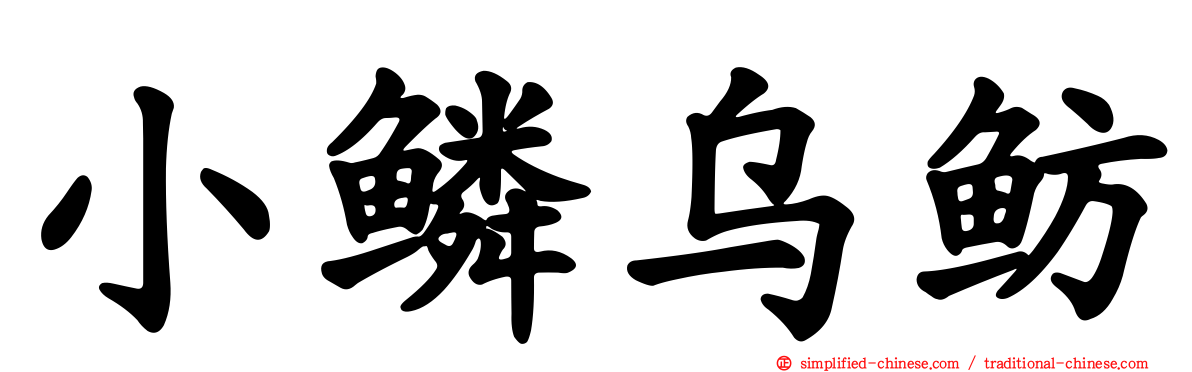 小鳞乌鲂