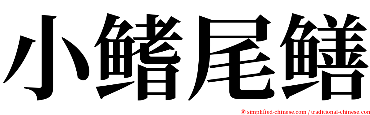 小鳍尾鳝 serif font