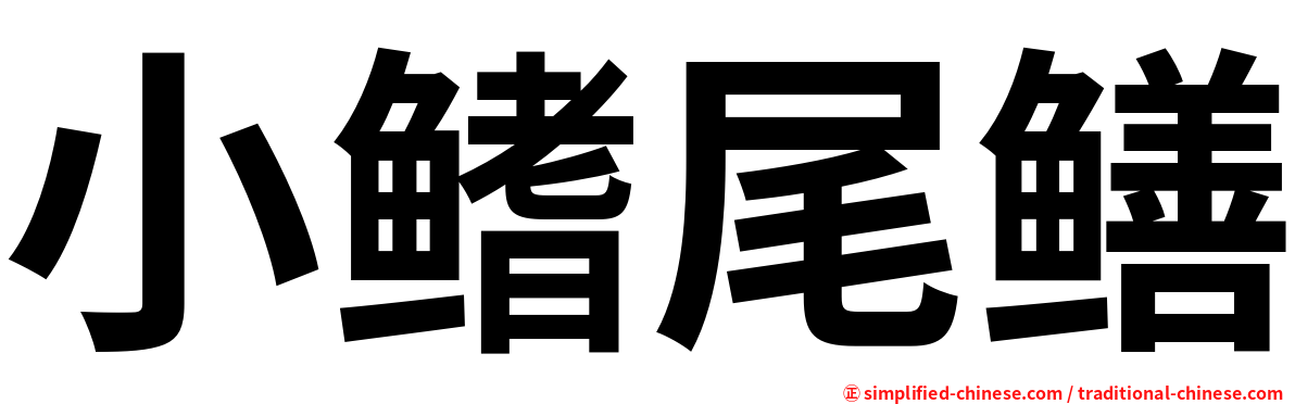 小鳍尾鳝