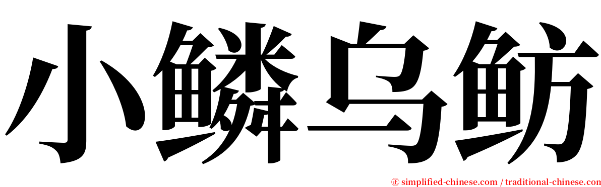 小鳞乌鲂 serif font