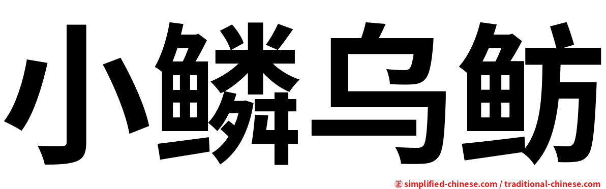 小鳞乌鲂