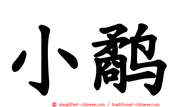 小鹬