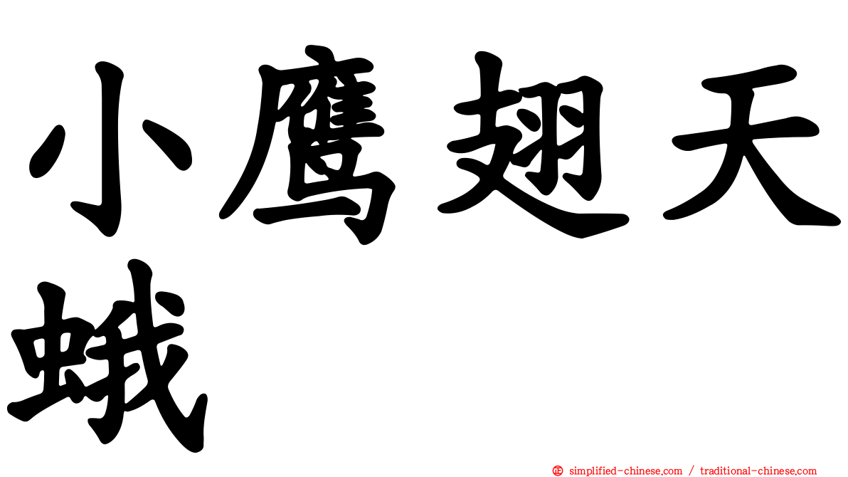 小鹰翅天蛾
