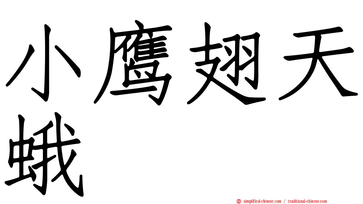 小鹰翅天蛾