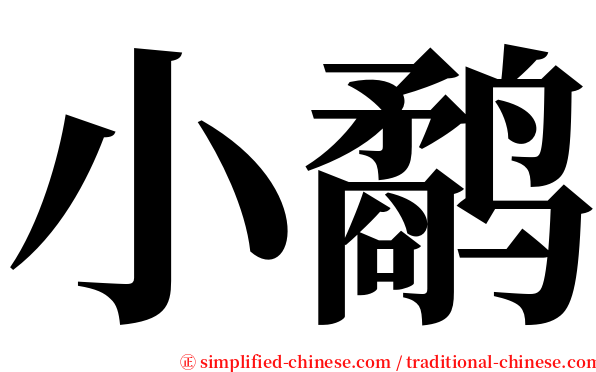 小鹬 serif font