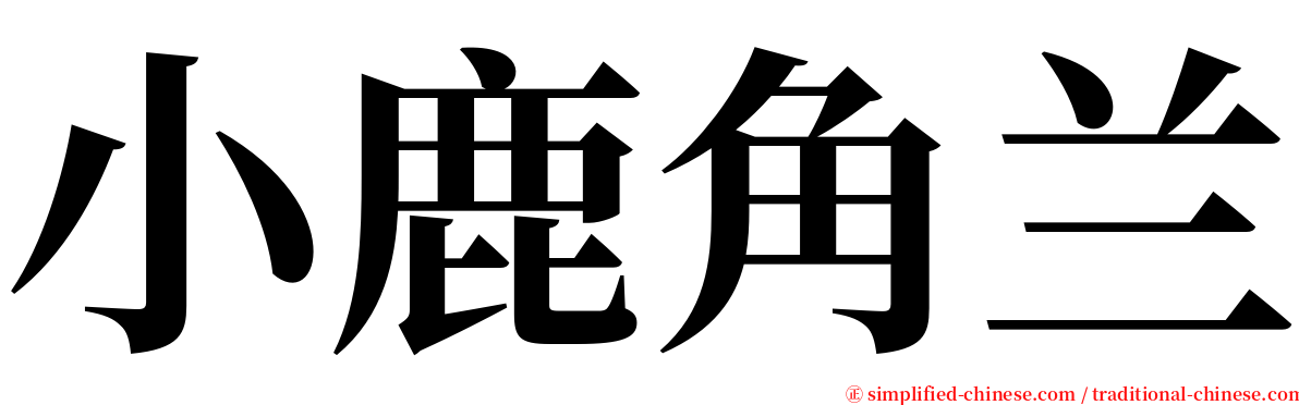 小鹿角兰 serif font