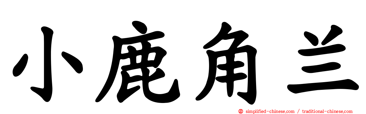 小鹿角兰