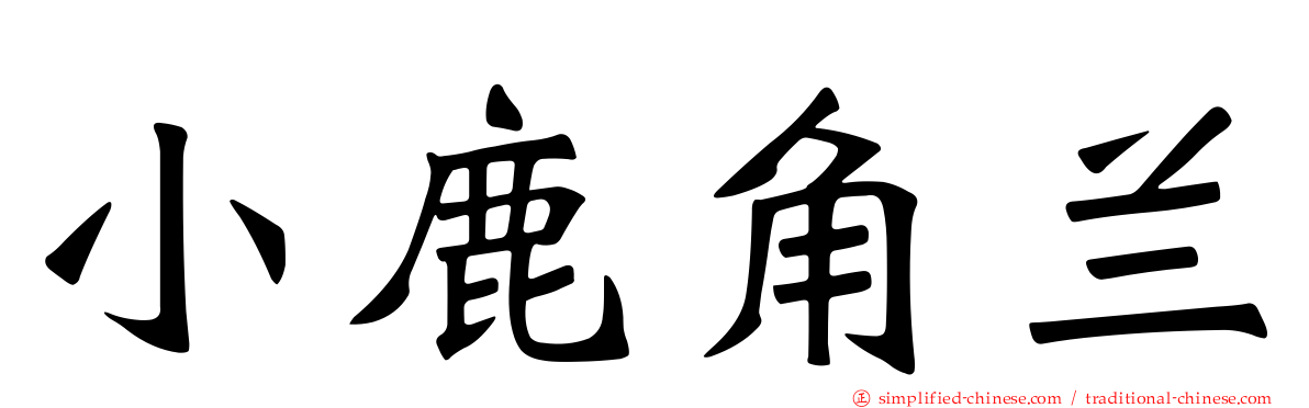 小鹿角兰