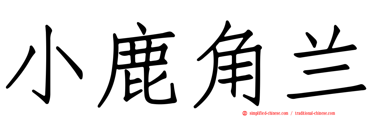 小鹿角兰
