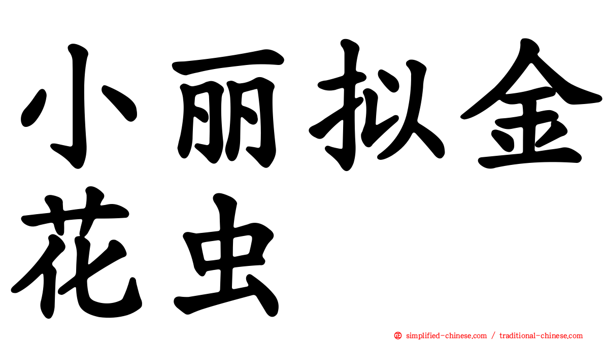 小丽拟金花虫