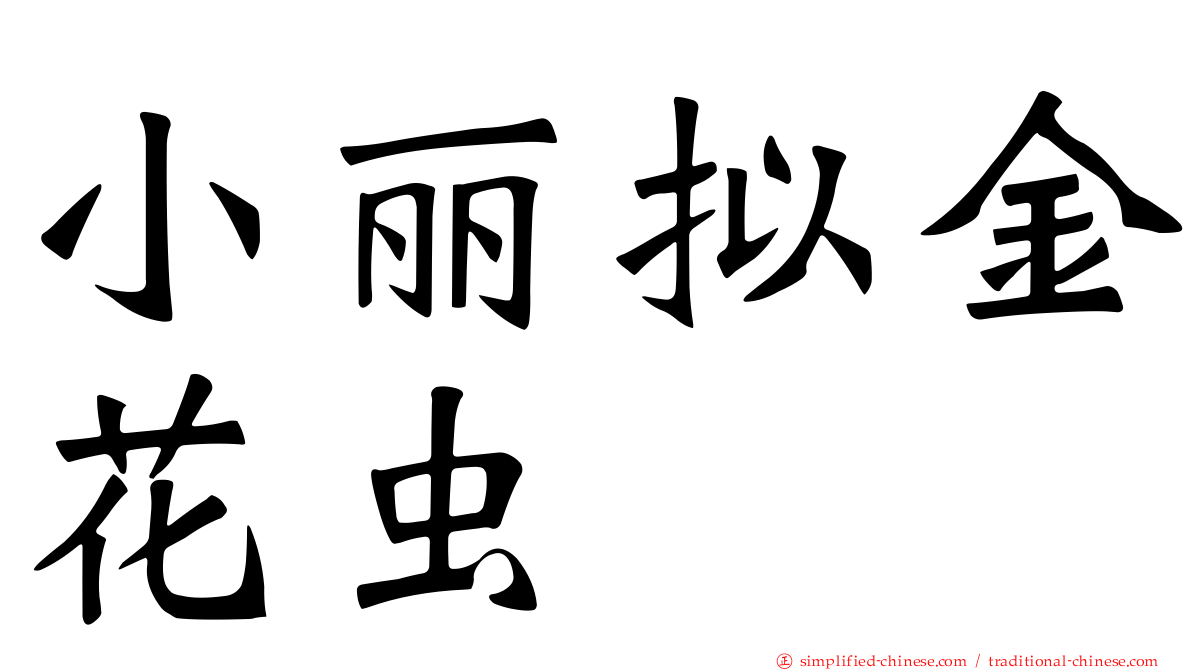 小丽拟金花虫