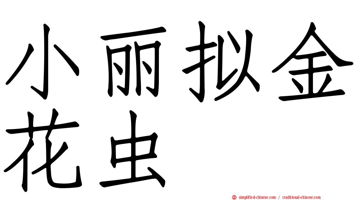 小丽拟金花虫