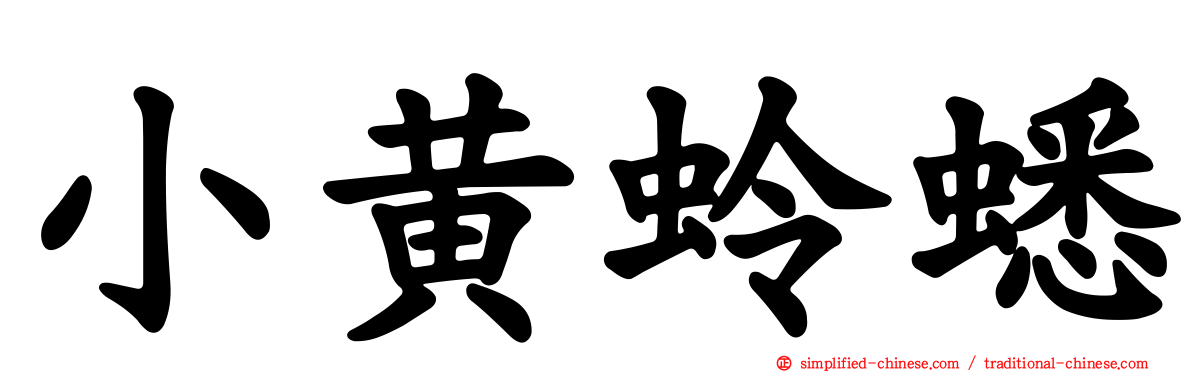 小黄蛉蟋
