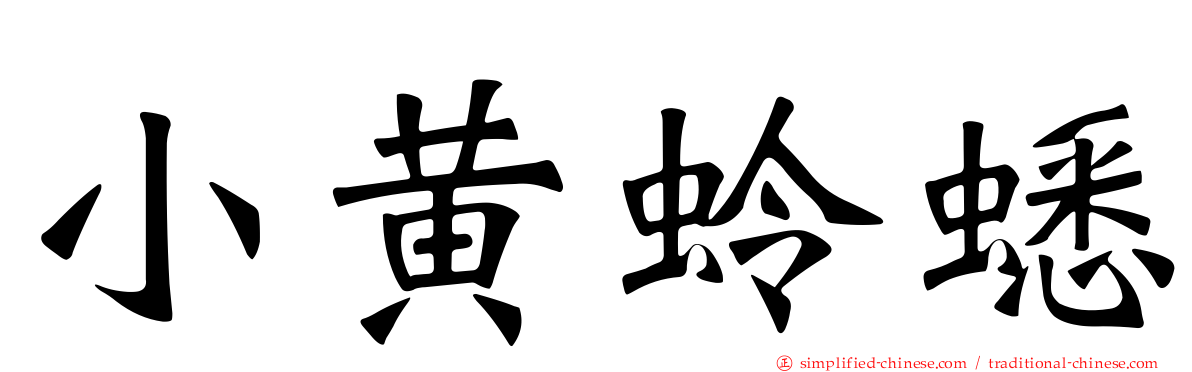 小黄蛉蟋