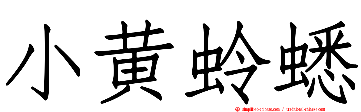 小黄蛉蟋