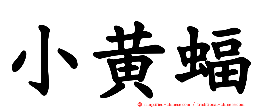 小黄蝠