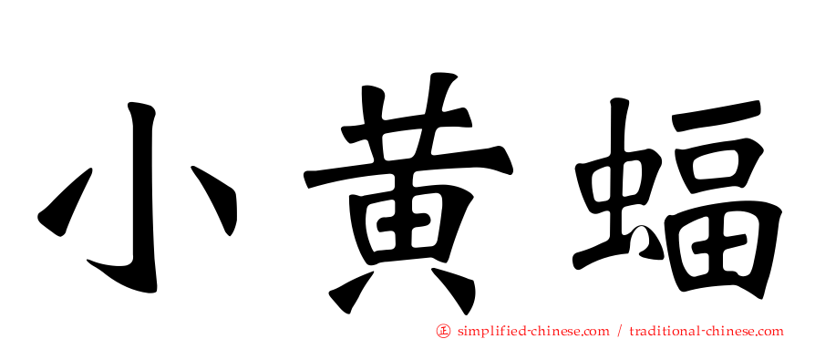 小黄蝠