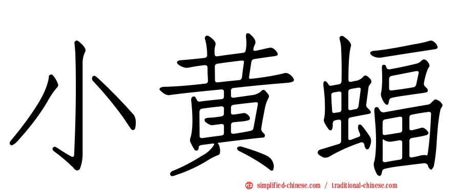 小黄蝠