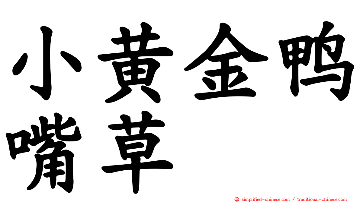 小黄金鸭嘴草