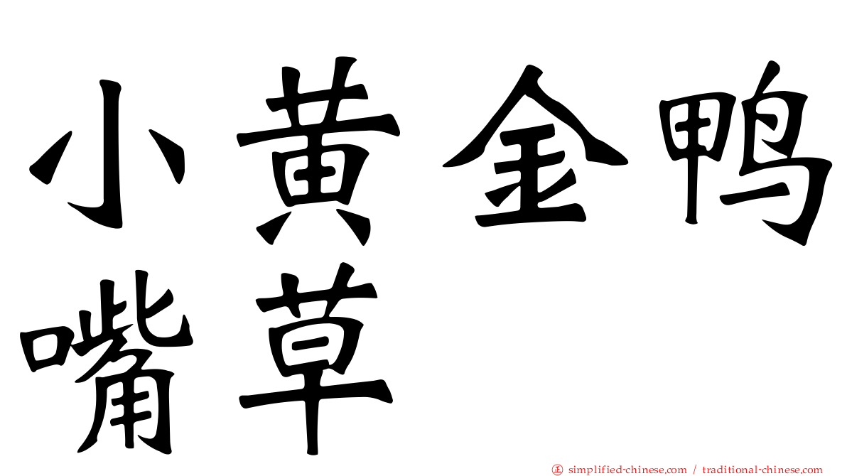 小黄金鸭嘴草