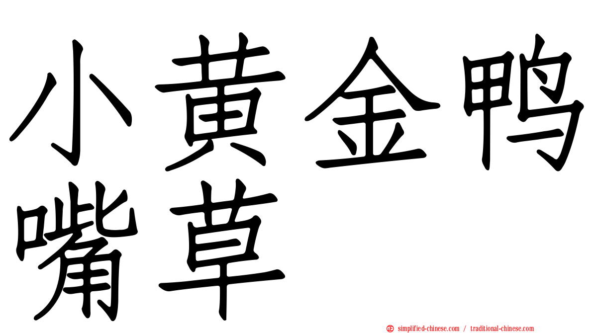 小黄金鸭嘴草