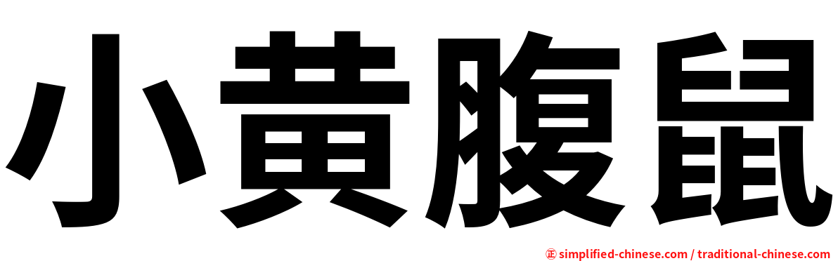 小黄腹鼠