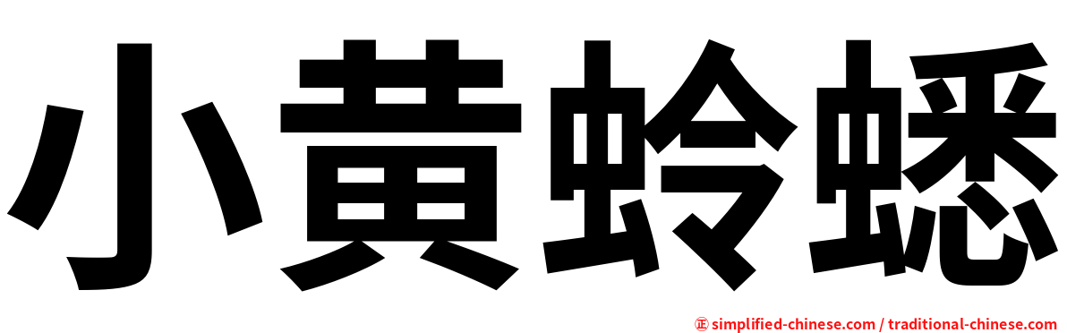 小黄蛉蟋