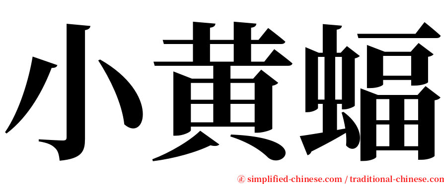 小黄蝠 serif font