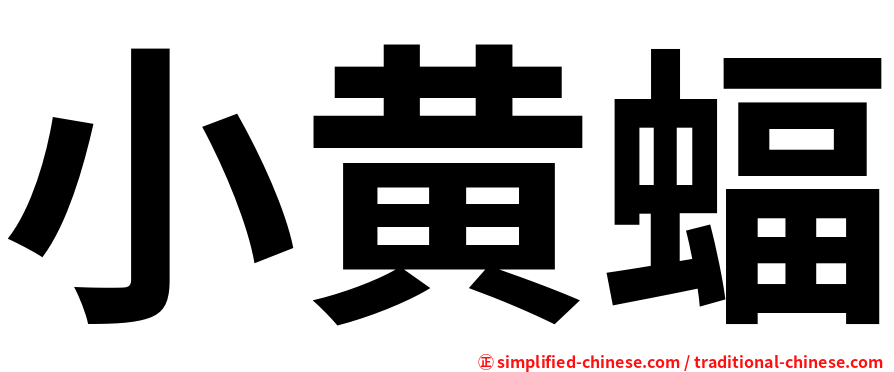 小黄蝠
