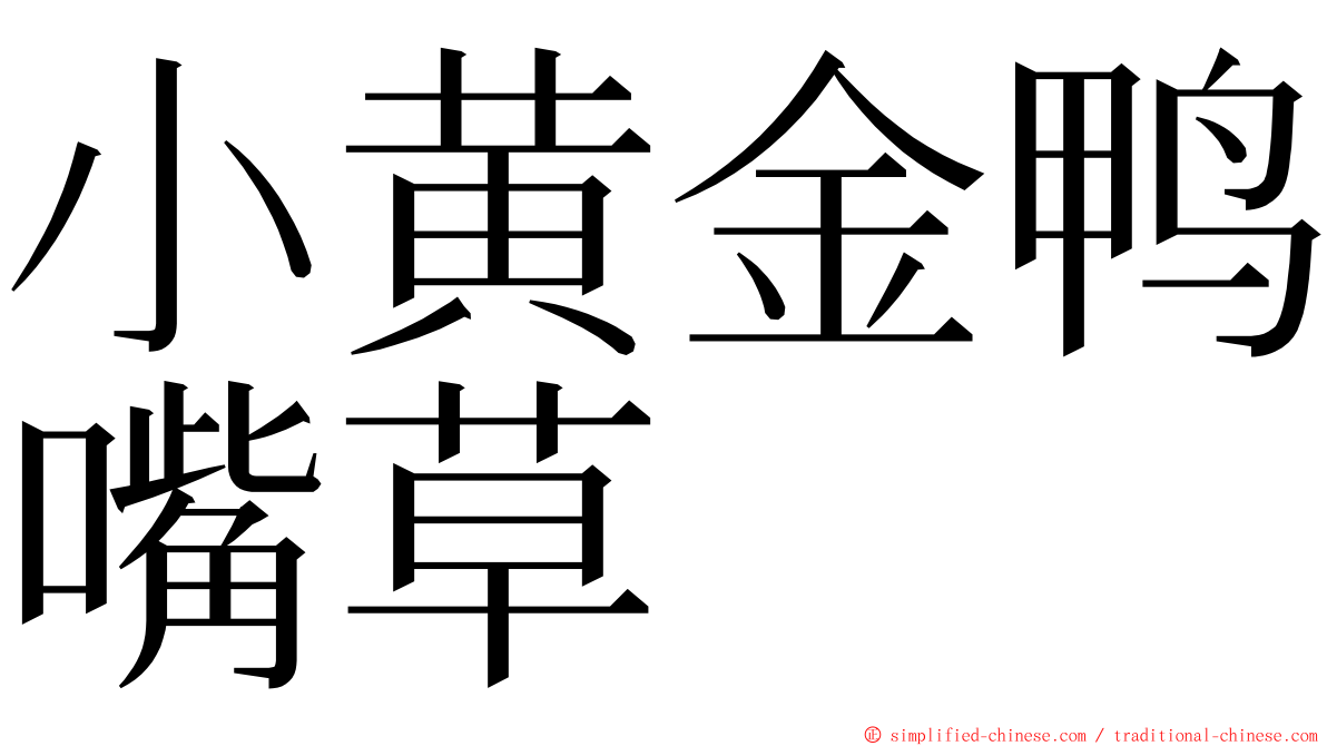 小黄金鸭嘴草 ming font