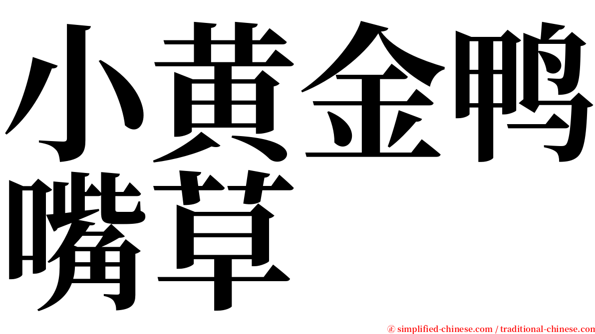小黄金鸭嘴草 serif font