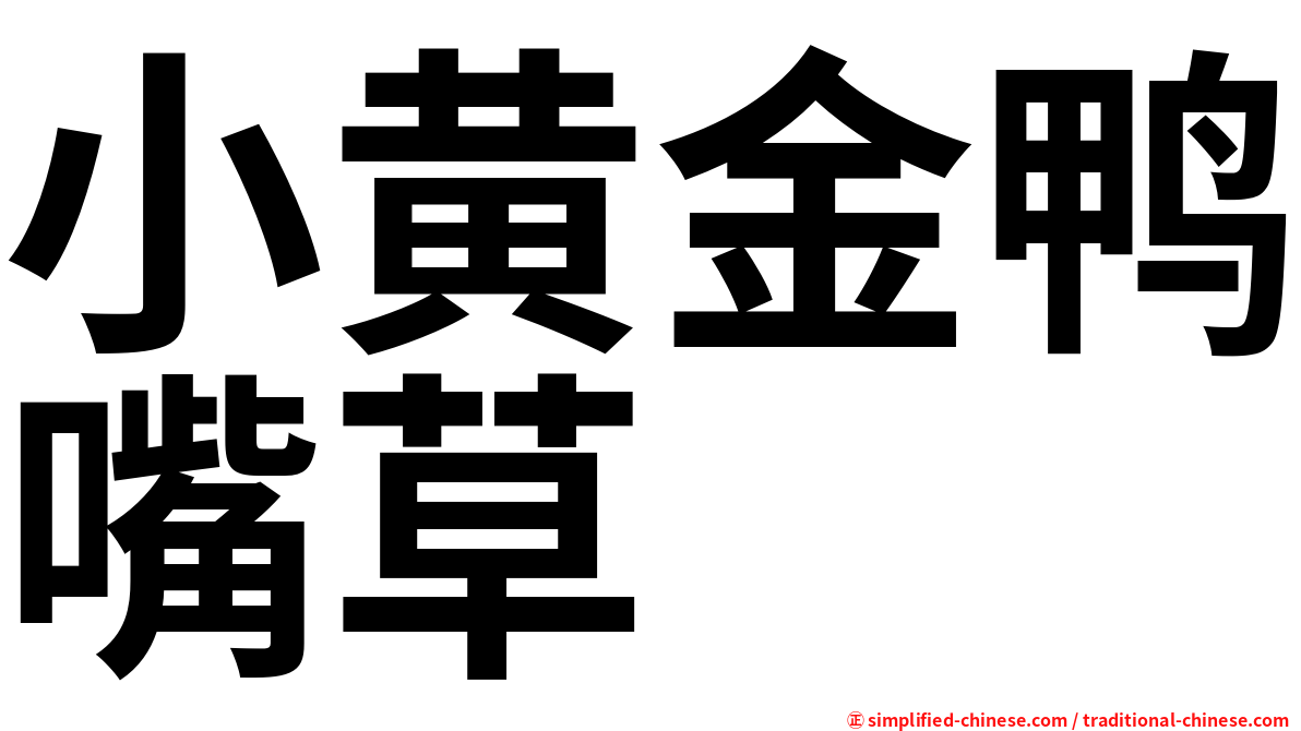 小黄金鸭嘴草