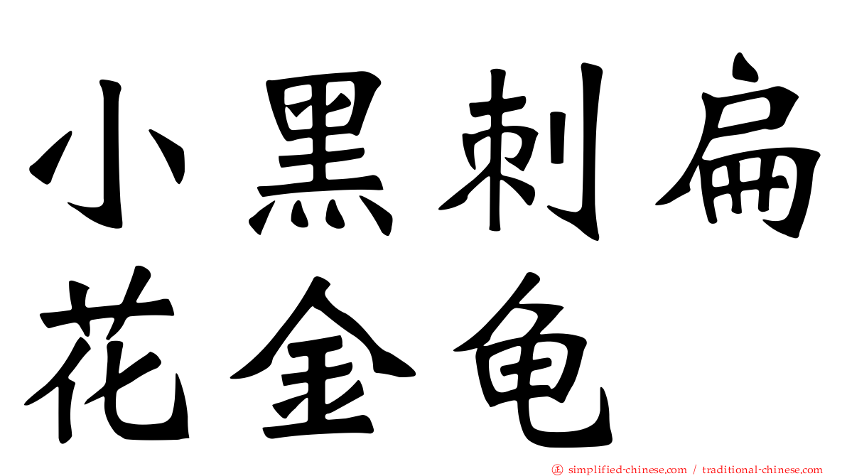 小黑刺扁花金龟