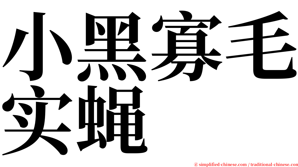 小黑寡毛实蝇 serif font