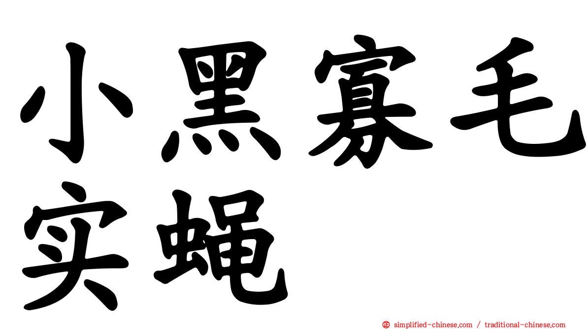 小黑寡毛实蝇