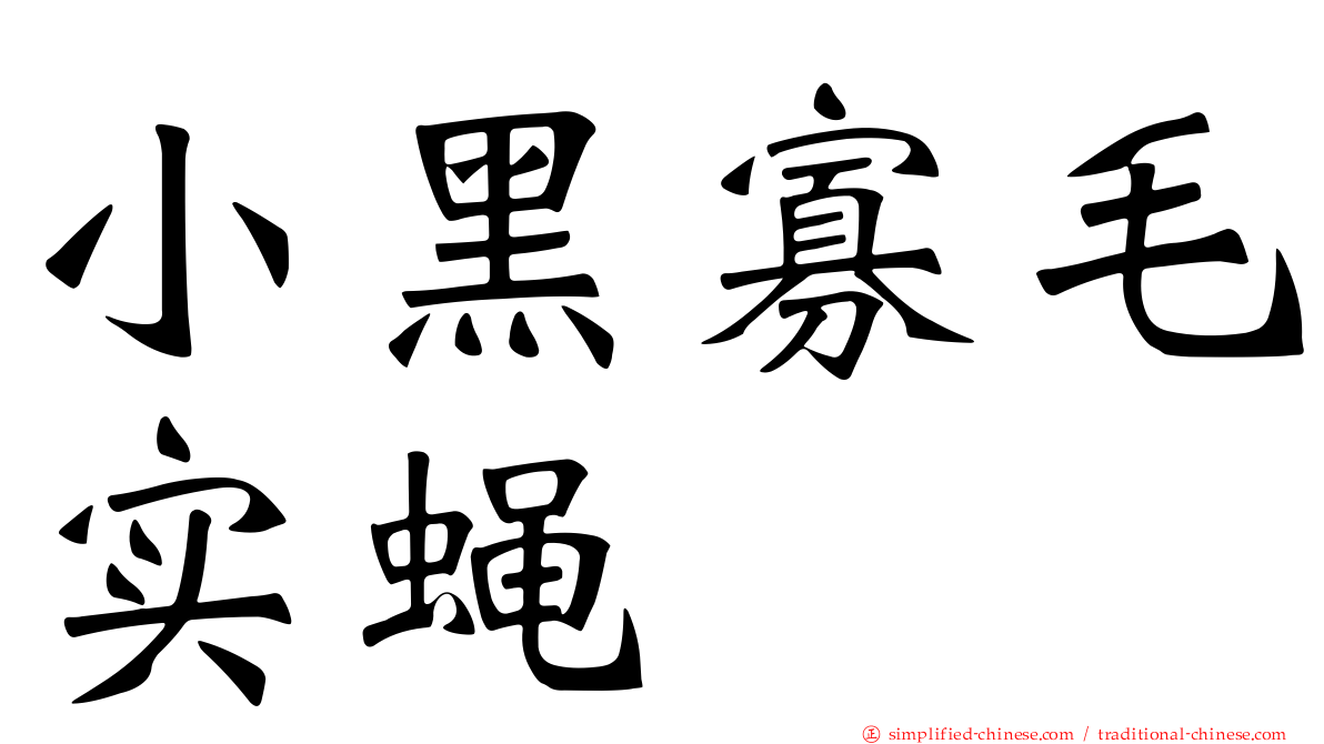 小黑寡毛实蝇