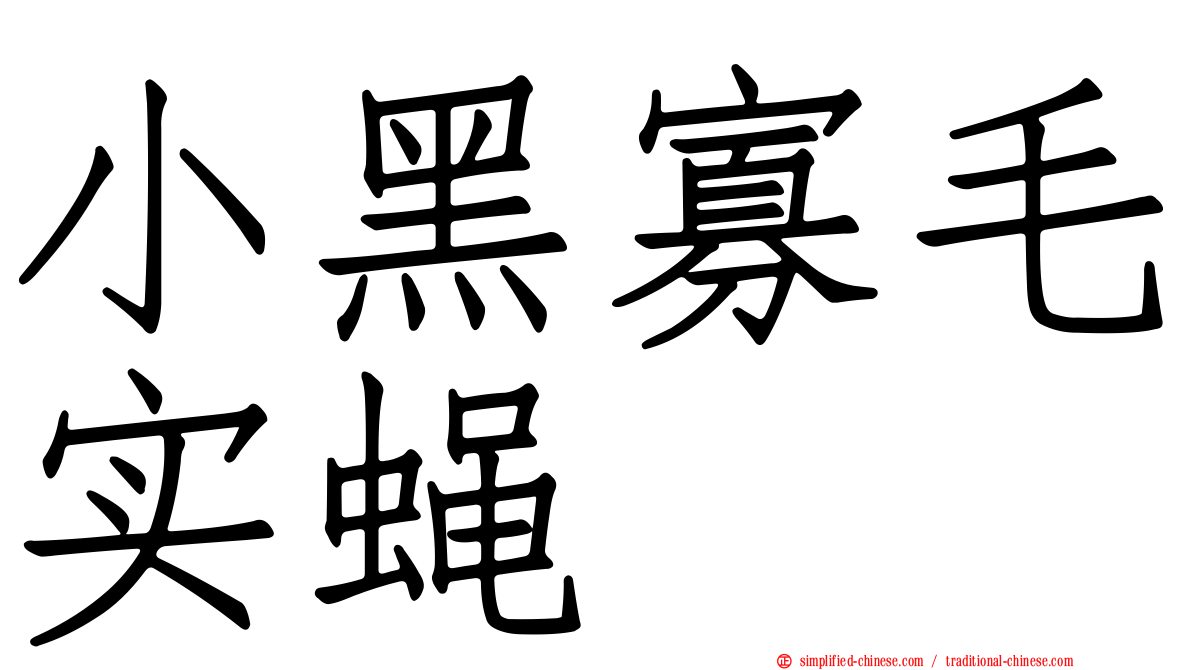 小黑寡毛实蝇