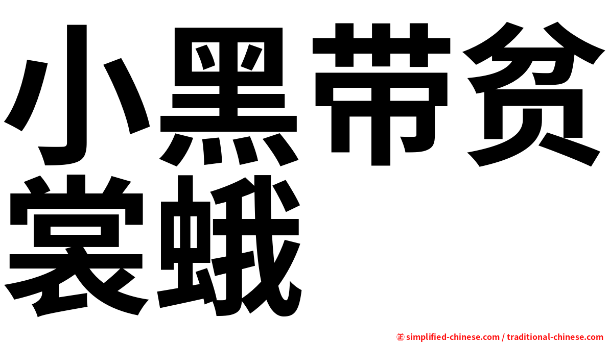 小黑带贫裳蛾