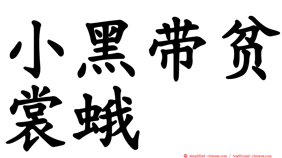 小黑带贫裳蛾